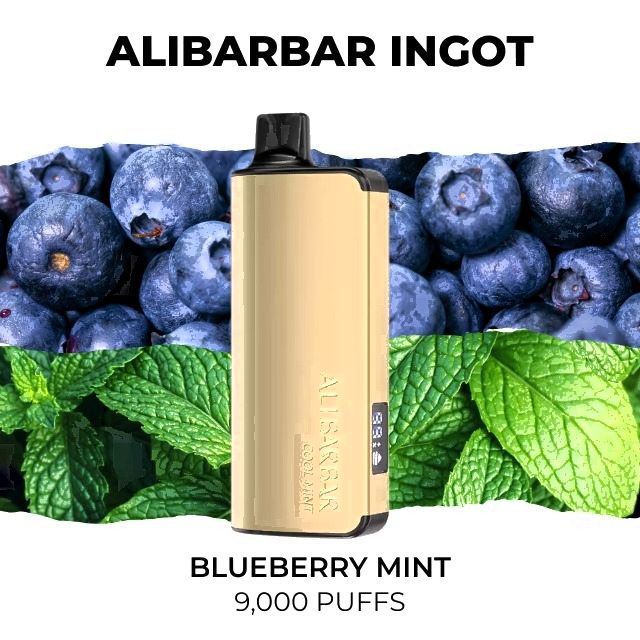 Alibarbar Ingot 9000, Blueberry Mint