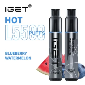 IGET Hot 5500, Blueberry Watermelon, genuine IGET stock